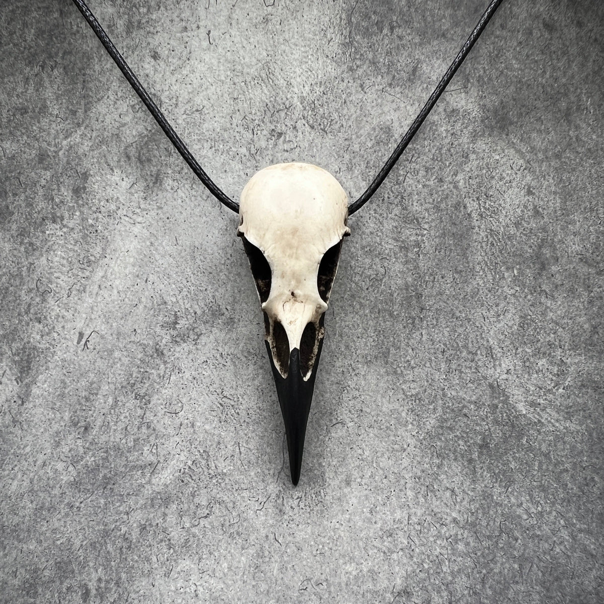 resin raven skull goth gift idea for witches and cosplay fans that like bird skull jewelry