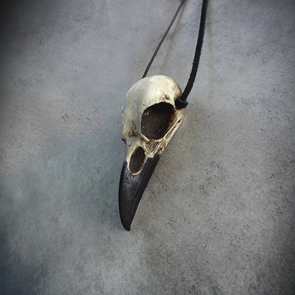 Large bird skull pendant resin raven skull necklace in an aged patina and black beak on a leather suede string.