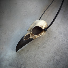 Huge bird skull resin raven skull necklace in an aged patina and black beak on a leather suede string.