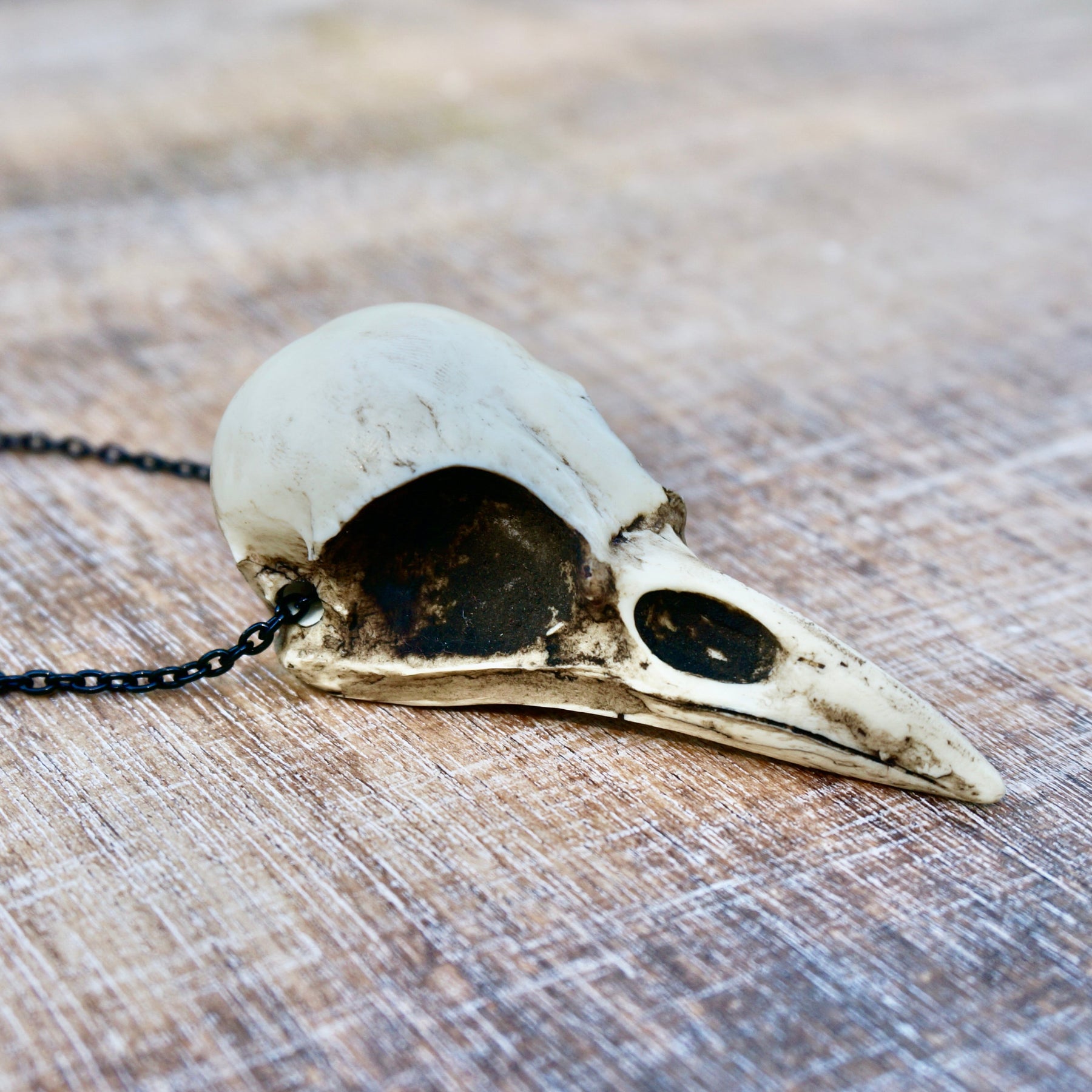 Dirty aged crow skull necklace bird skull jewelry for witchy gothic women or men that like creepy goth Halloween accessories.