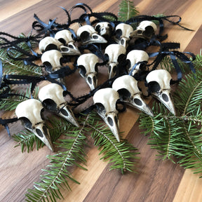 A set of 15 Crow Christmas Tree Ornaments, Faux Crow Bone Clone Crow Skull Gothic Home Decor, with black gothic ribbon.