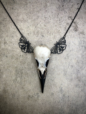 Witchy gothic bone jewelry luna moth raven skull necklace featuring black crescent moon moth charms and a realistic resin bird skull.