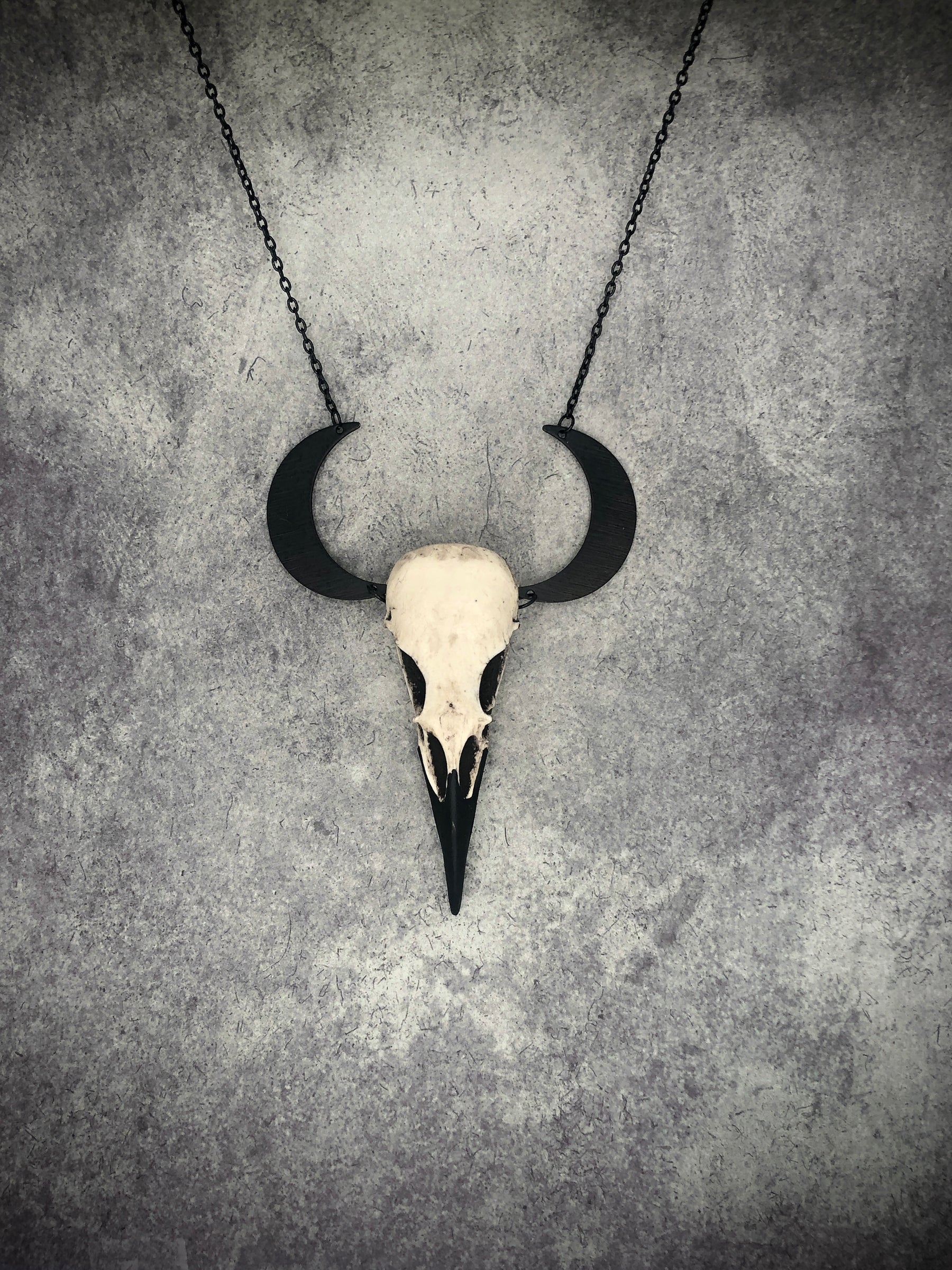 Gothic gift idea Animal witchy horn style crescent moon raven goth skull charm lunar necklace and mini resin bird skull.