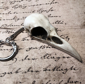Bird Skull Keychain: resin replica bone raven animal skull Key Chain Gothic Oddities and Curiosities Key Ring gift for guys.