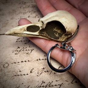 Bird Skull Keychain: A Resin Replica Bone Crow Key Chain Magpie Skull Gothic Oddities and Curiosities Key Ring gift for guys.