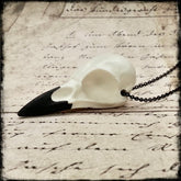 Natural bone color crow skull necklace bird skull jewelry pendant with a black beak, witchy gothic women necklace.