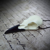 Bone white raven skull necklace bird skull jewelry pendant for gothic witchy style oddities and curiosities jewelry.