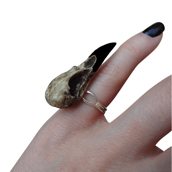 Gothic style resin raven skull ring with aged patina finish and black beak on hand with witchy black nails.