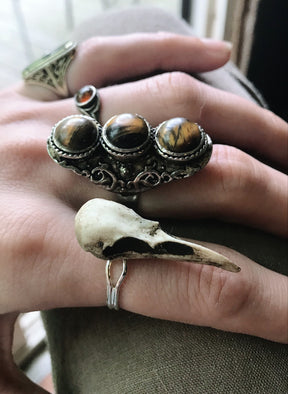 Gothic bird skull witchy style resin raven skull ring on goth model hand next to silver and tiger's eye rings.